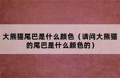 大熊猫尾巴是什么颜色（请问大熊猫的尾巴是什么颜色的）