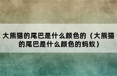 大熊猫的尾巴是什么颜色的（大熊猫的尾巴是什么颜色的蚂蚁）