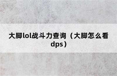 大脚lol战斗力查询（大脚怎么看dps）