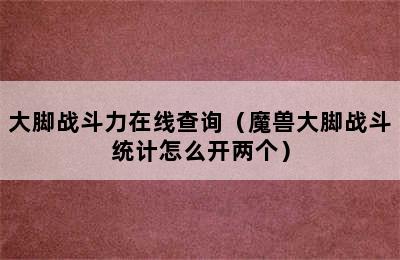 大脚战斗力在线查询（魔兽大脚战斗统计怎么开两个）