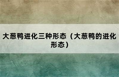 大葱鸭进化三种形态（大葱鸭的进化形态）