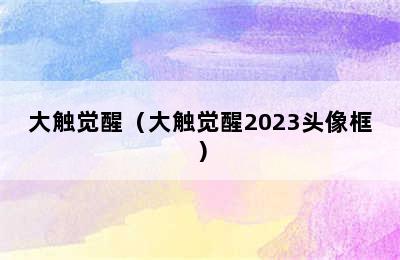 大触觉醒（大触觉醒2023头像框）