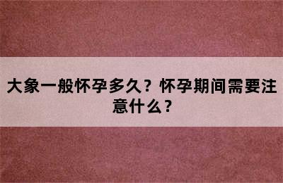 大象一般怀孕多久？怀孕期间需要注意什么？