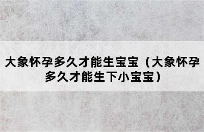 大象怀孕多久才能生宝宝（大象怀孕多久才能生下小宝宝）