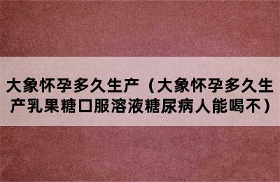 大象怀孕多久生产（大象怀孕多久生产乳果糖口服溶液糖尿病人能喝不）