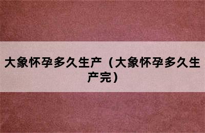 大象怀孕多久生产（大象怀孕多久生产完）