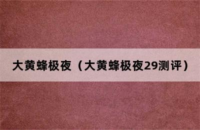 大黄蜂极夜（大黄蜂极夜29测评）