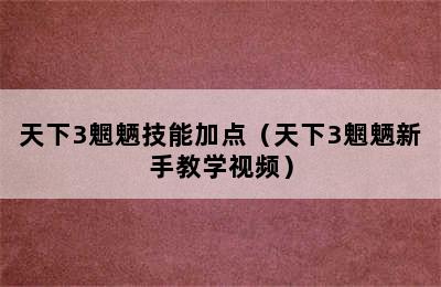 天下3魍魉技能加点（天下3魍魉新手教学视频）