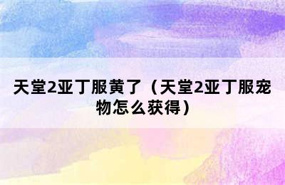 天堂2亚丁服黄了（天堂2亚丁服宠物怎么获得）