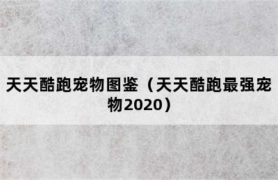 天天酷跑宠物图鉴（天天酷跑最强宠物2020）