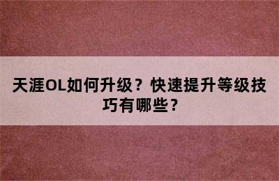 天涯OL如何升级？快速提升等级技巧有哪些？