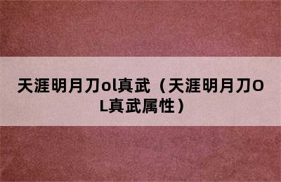 天涯明月刀ol真武（天涯明月刀OL真武属性）