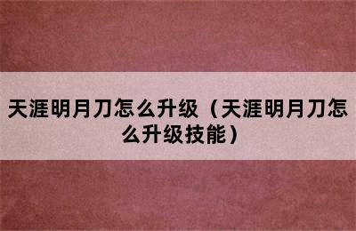 天涯明月刀怎么升级（天涯明月刀怎么升级技能）