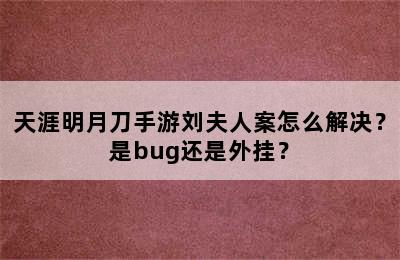 天涯明月刀手游刘夫人案怎么解决？是bug还是外挂？