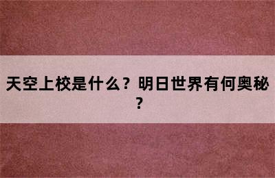 天空上校是什么？明日世界有何奥秘？