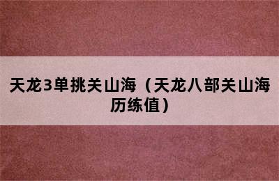 天龙3单挑关山海（天龙八部关山海历练值）