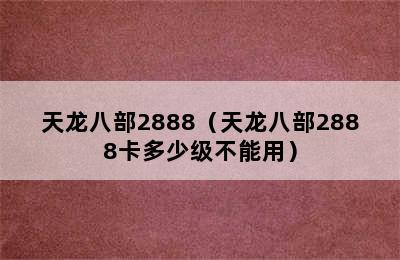 天龙八部2888（天龙八部2888卡多少级不能用）