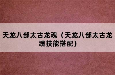 天龙八部太古龙魂（天龙八部太古龙魂技能搭配）