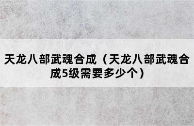 天龙八部武魂合成（天龙八部武魂合成5级需要多少个）