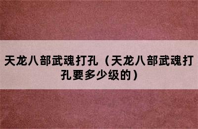 天龙八部武魂打孔（天龙八部武魂打孔要多少级的）