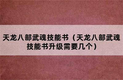 天龙八部武魂技能书（天龙八部武魂技能书升级需要几个）