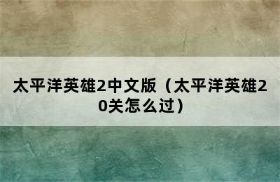 太平洋英雄2中文版（太平洋英雄20关怎么过）