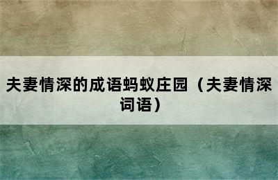 夫妻情深的成语蚂蚁庄园（夫妻情深词语）