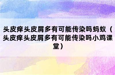 头皮痒头皮屑多有可能传染吗蚂蚁（头皮痒头皮屑多有可能传染吗小鸡课堂）