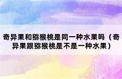 奇异果和猕猴桃是同一种水果吗（奇异果跟猕猴桃是不是一种水果）