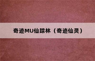 奇迹MU仙踪林（奇迹仙灵）