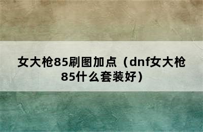 女大枪85刷图加点（dnf女大枪85什么套装好）