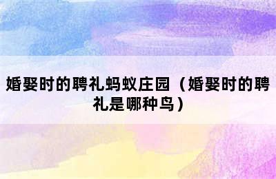 婚娶时的聘礼蚂蚁庄园（婚娶时的聘礼是哪种鸟）