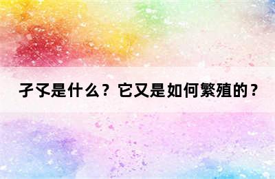 孑孓是什么？它又是如何繁殖的？