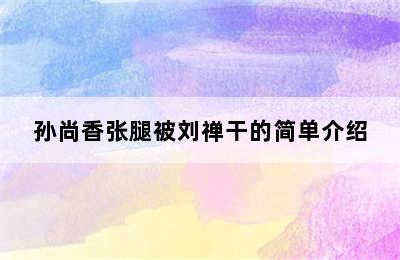 孙尚香张腿被刘禅干的简单介绍