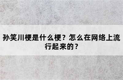 孙笑川梗是什么梗？怎么在网络上流行起来的？