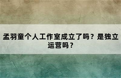孟羽童个人工作室成立了吗？是独立运营吗？