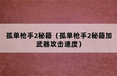 孤单枪手2秘籍（孤单枪手2秘籍加武器攻击速度）