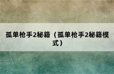 孤单枪手2秘籍（孤单枪手2秘籍模式）