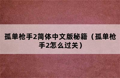 孤单枪手2简体中文版秘籍（孤单枪手2怎么过关）