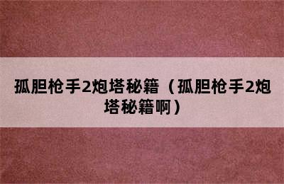 孤胆枪手2炮塔秘籍（孤胆枪手2炮塔秘籍啊）