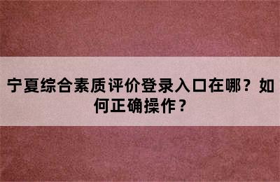 宁夏综合素质评价登录入口在哪？如何正确操作？