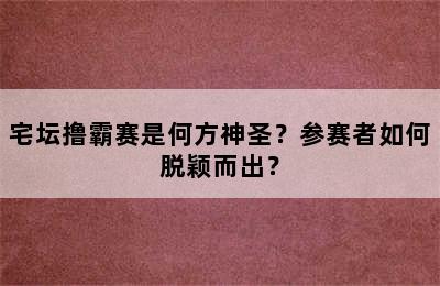 宅坛撸霸赛是何方神圣？参赛者如何脱颖而出？