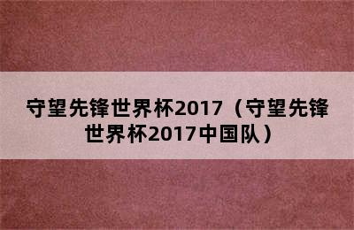 守望先锋世界杯2017（守望先锋世界杯2017中国队）