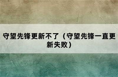 守望先锋更新不了（守望先锋一直更新失败）