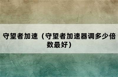 守望者加速（守望者加速器调多少倍数最好）