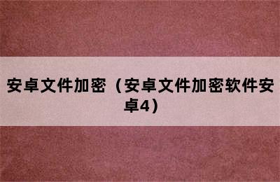 安卓文件加密（安卓文件加密软件安卓4）