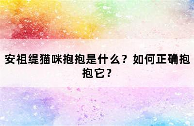 安祖缇猫咪抱抱是什么？如何正确抱抱它？