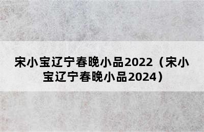 宋小宝辽宁春晚小品2022（宋小宝辽宁春晚小品2024）