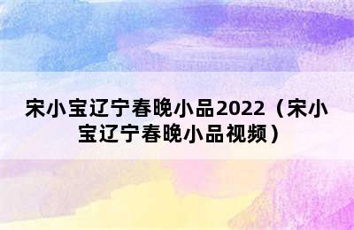 宋小宝辽宁春晚小品2022（宋小宝辽宁春晚小品视频）