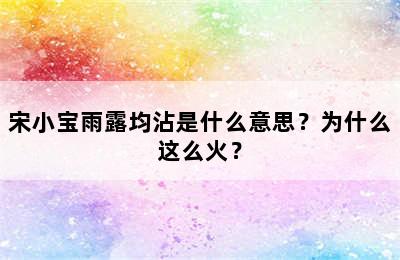 宋小宝雨露均沾是什么意思？为什么这么火？